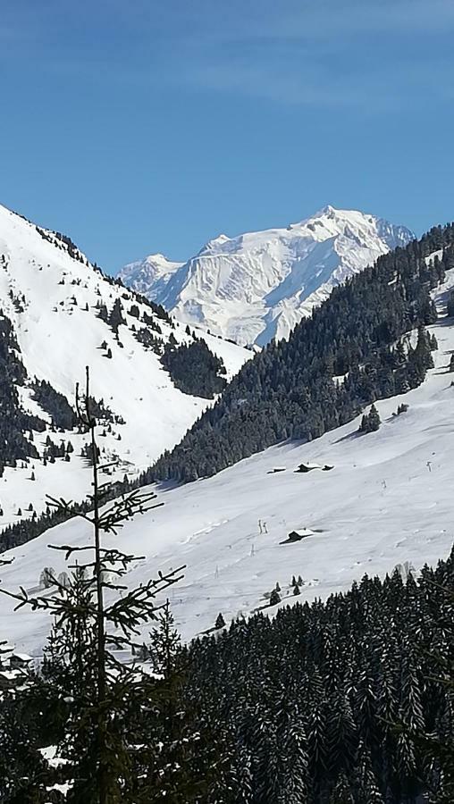 Chambre D'Hotes "Le Moulin" Thônes Exteriör bild